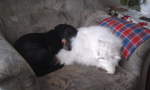 IMAG0224.jpg