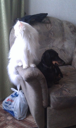 IMAG0348.jpg