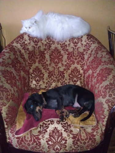 IMAG0235.jpg