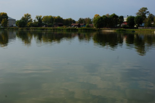 DSC_3980.JPG