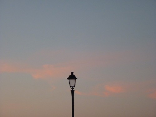 P1150526+.jpg