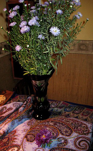 иIMG_0206.jpg