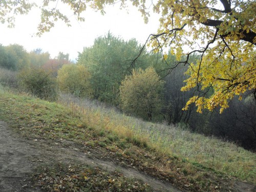 DSC02635.JPG