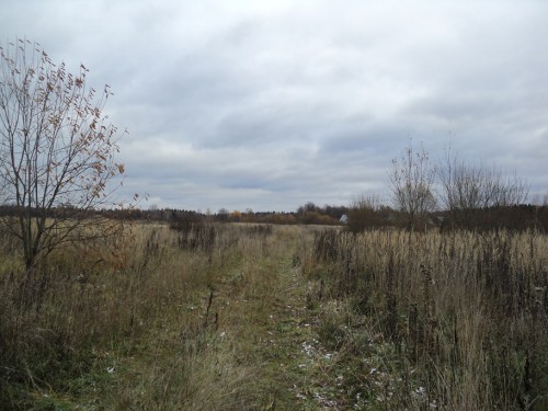DSC02678.JPG