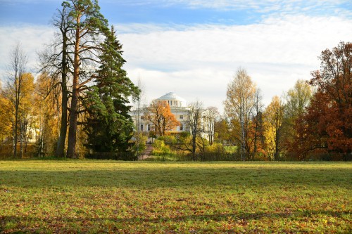 DSC_2301.JPG