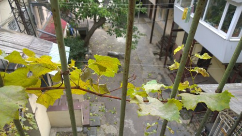 WP_20141011_12_11_17_Pro1.jpg