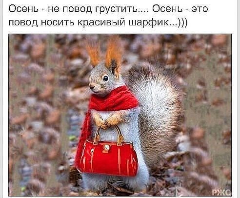 getImage.jpg