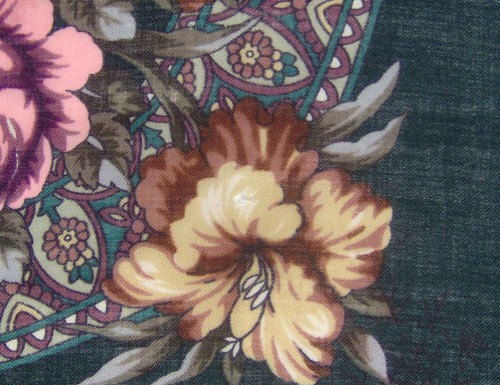 4742834407_3.jpg