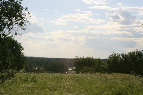 image (1).jpg