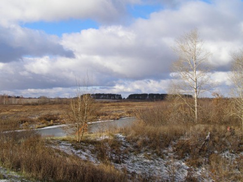 ..помните Покрова на Нерли..Это она..вот такая маленькая речка..