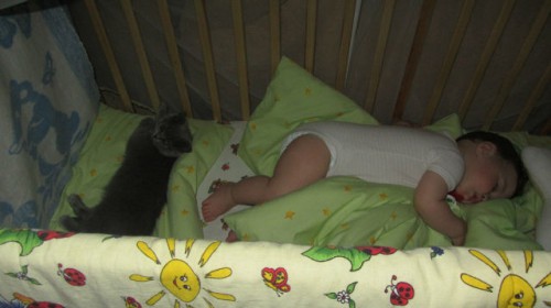 лена.jpg