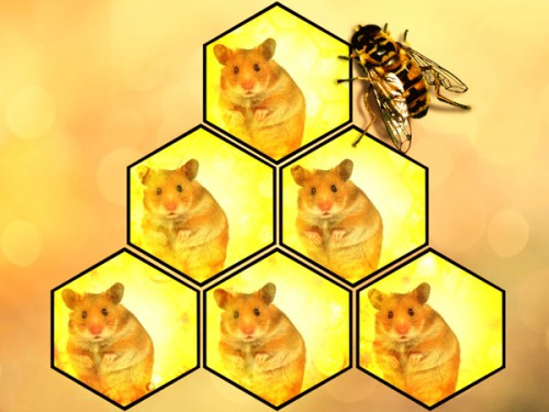 116168057_GkrJfU_1417297077.jpg
