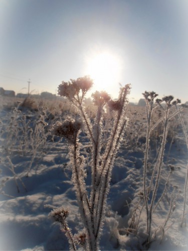 P1010014_новый размер.JPG