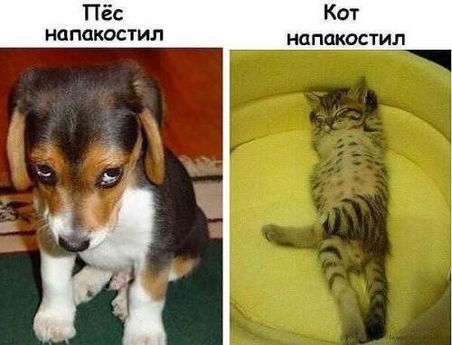 fBQFbWkoG5c.jpg