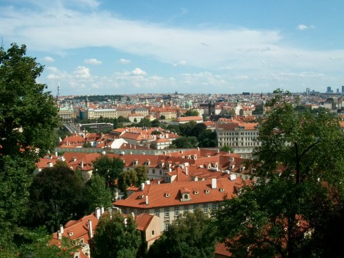 100_6254.JPG