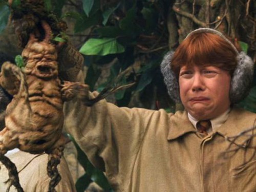 mandragora-harry-potter.jpg