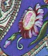 IMGA0223.JPG1.jpg