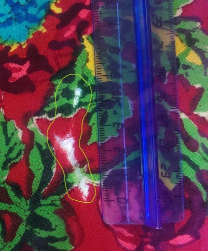 IMAG0033.jpg