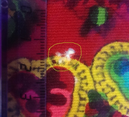 IMAG0036_BURST001.jpg