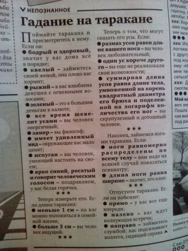 гадание на таракане.jpg