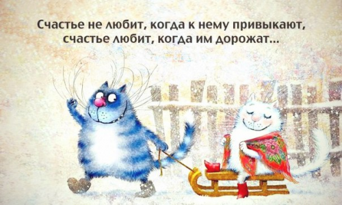 кысы.png