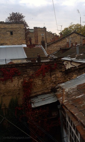 IMAG2947.jpg