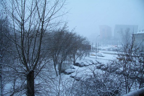 IMG_0025_1.jpg