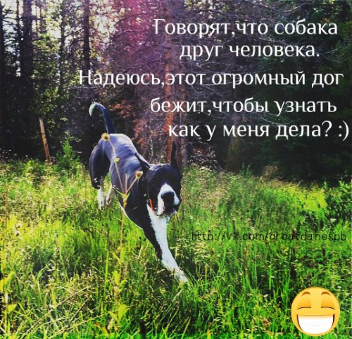 I8_wLUQ-_hA.jpg