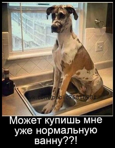 W0_DNQXL2Xw.jpg