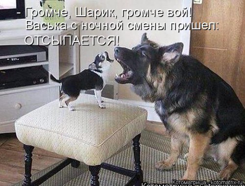 kotomatritsa_N2.jpg