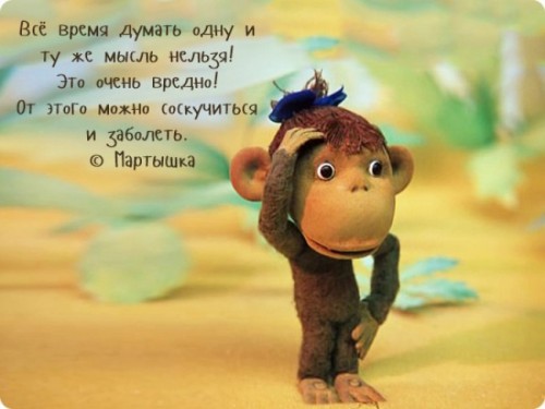 jioWT_swfy4.jpg