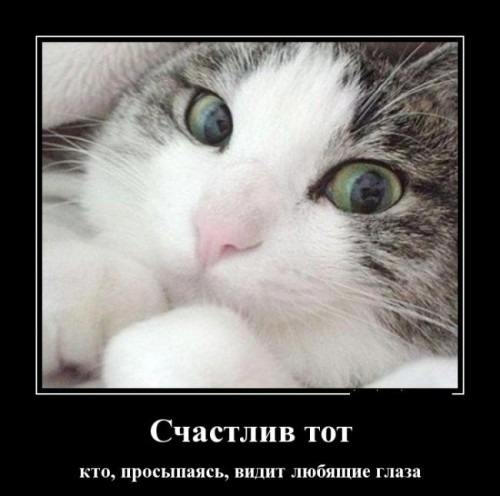 1422909667_014.jpg