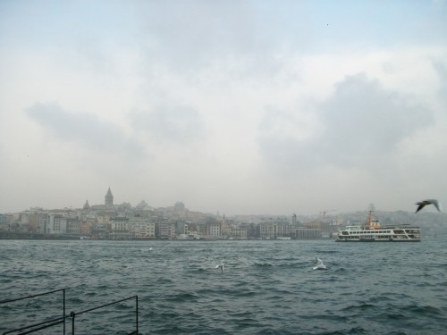 100_6941.JPG