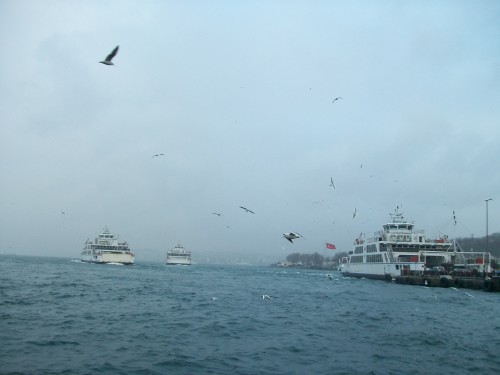 100_6943.JPG