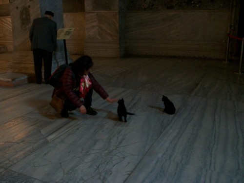 100_7057.JPG