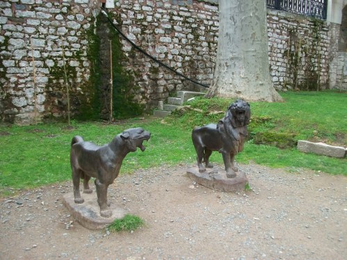 100_7003.JPG