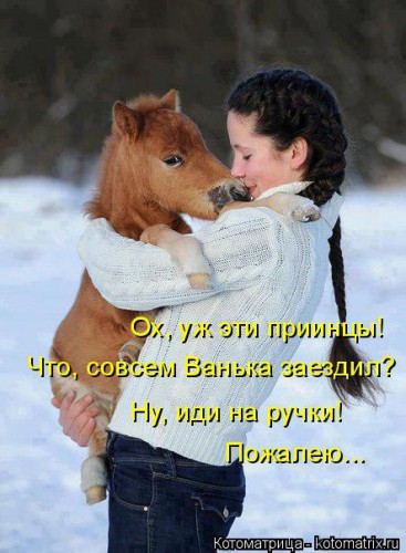 kotomatritsa_7.jpg