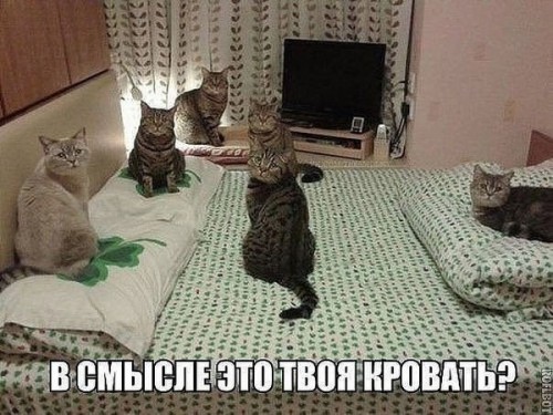 3Ne6-3N5bjI.jpg
