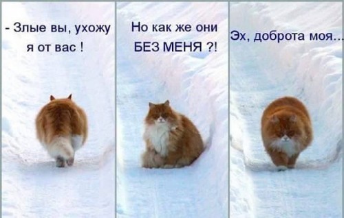 Ya_fM9GDOqk.jpg
