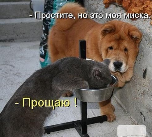 U8VfHjxJBiw.jpg