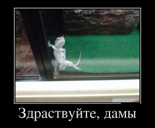z4sYNfYzYL4.jpg