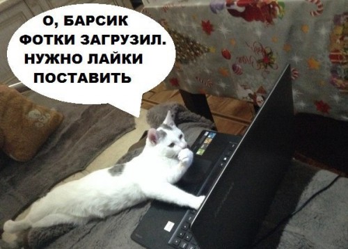 FaCTWVCF414.jpg