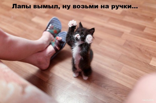 JCvhazbcKIM.jpg