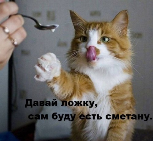 zazXqxbAArU.jpg