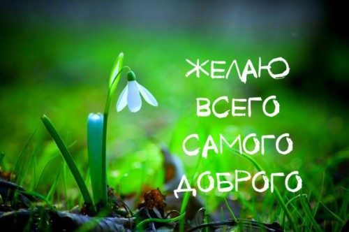 f36c5e9b7b5cbcc6ae22f069127c0a1f.jpg