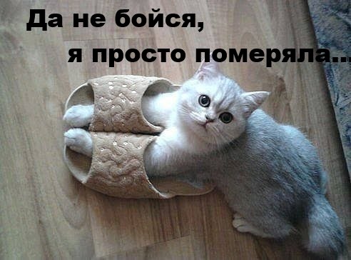 Q4ZuibBIYwA.jpg