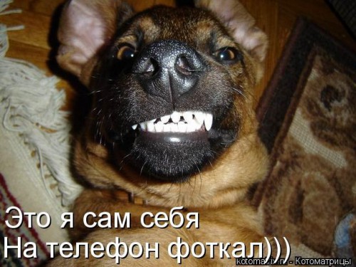 8I2wciFHalI.jpg