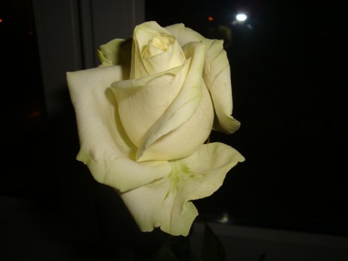DSC08202.JPG