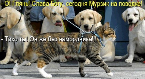 -Cvkakurh1w.jpg