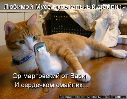 kotomatritsa_Q.jpg